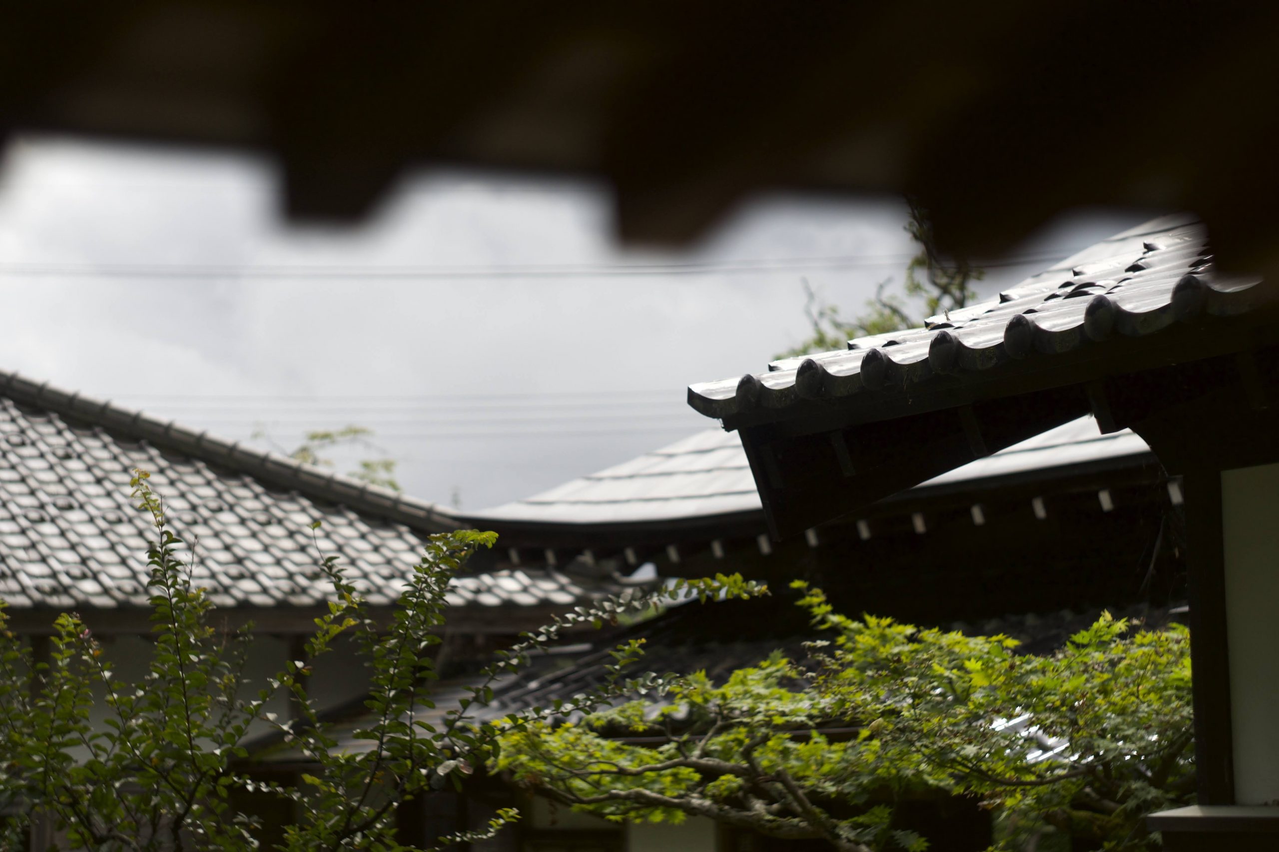 Priorities and behavior Tim Bunting