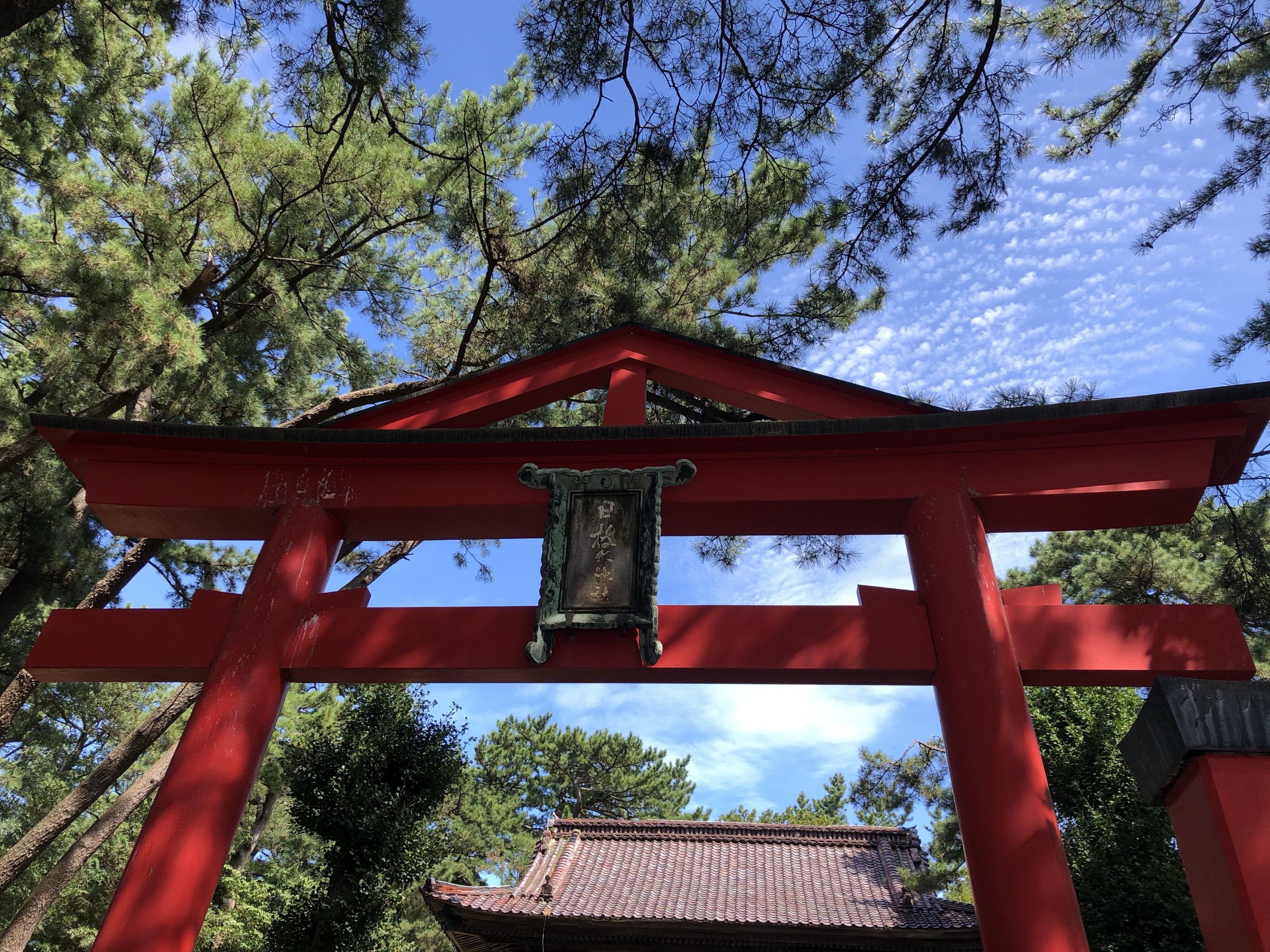 Realizations Tim Bunting