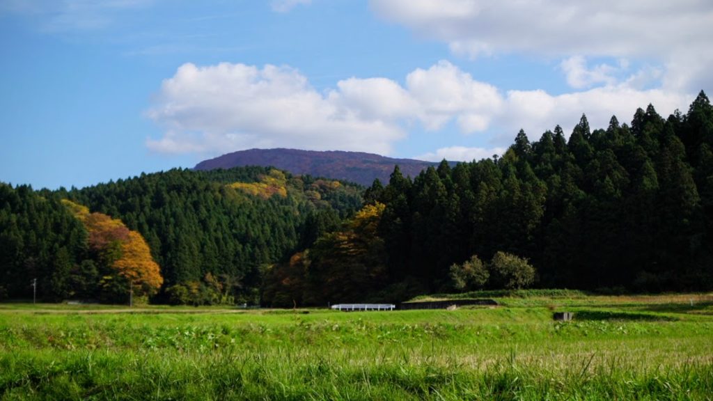 The Autumn Leaves of Mount Taizo