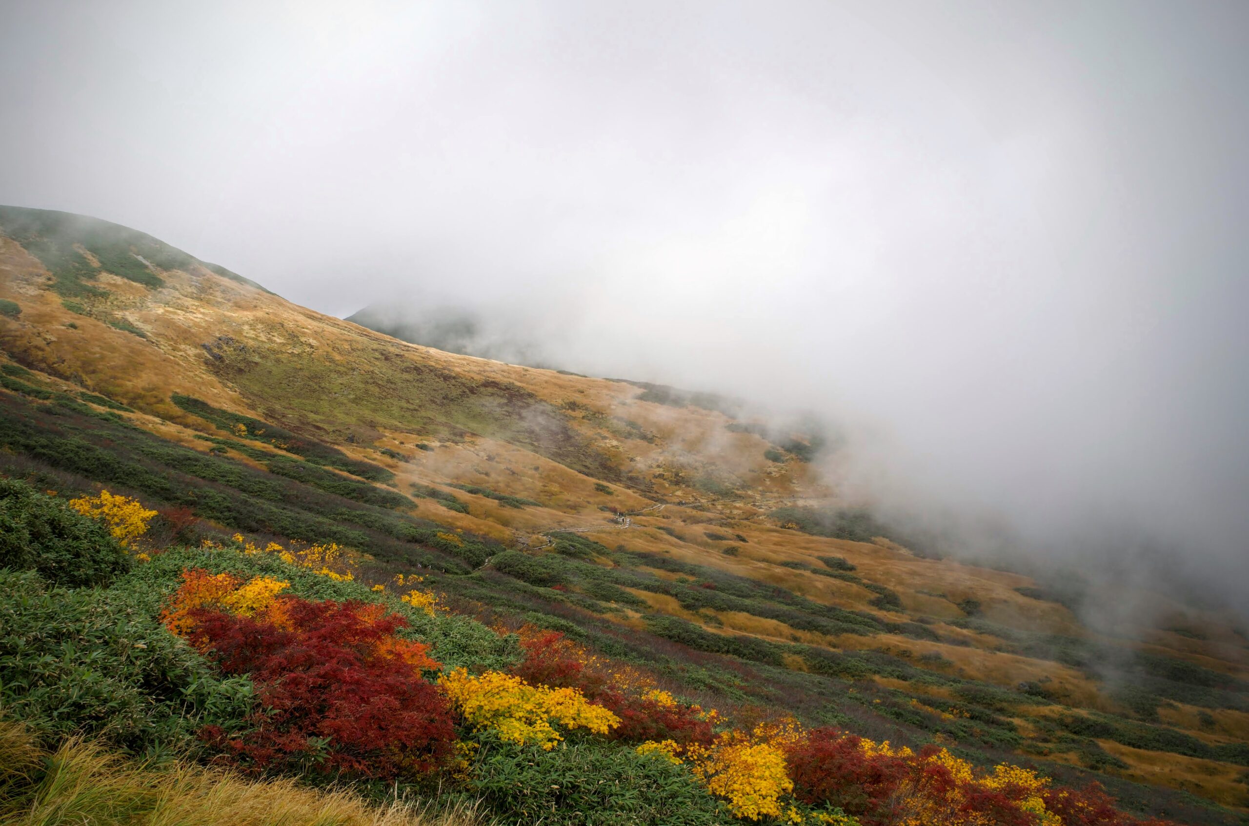 The mystical mountain men of Japan - Tim Bunting