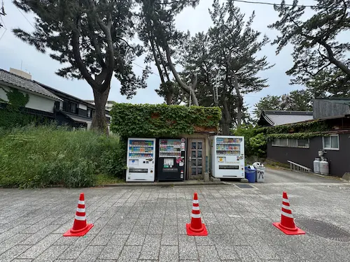 The Uniquely Japanese Superpower