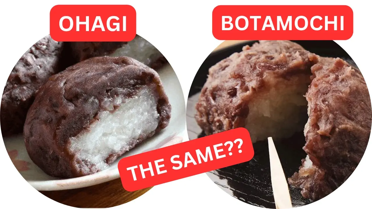 Obon Food- Ohagi and Botamochi
