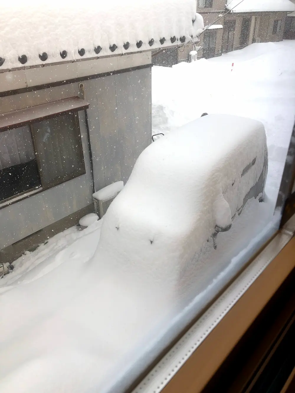 Tokyo-Level Offences: An ode to the Snow of Yamagata