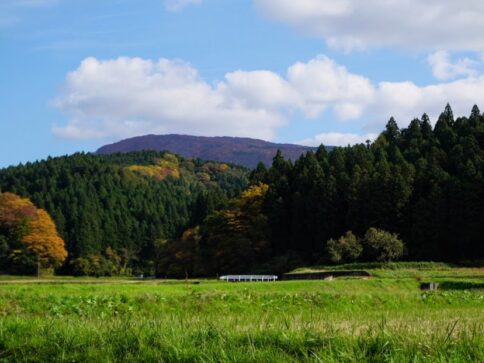 The Autumn Leaves of Mount Taizo