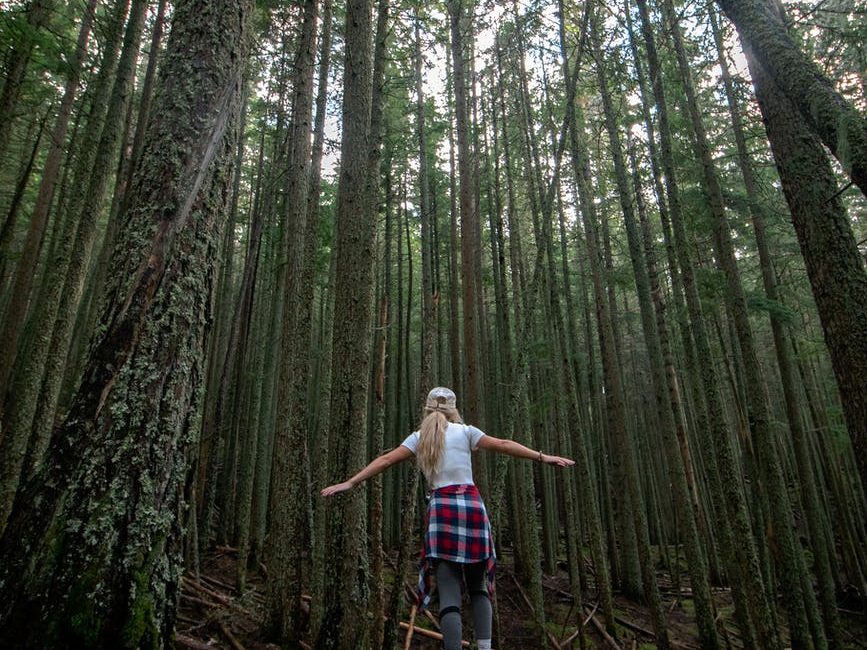 back view of a woman walking on a log in the forest