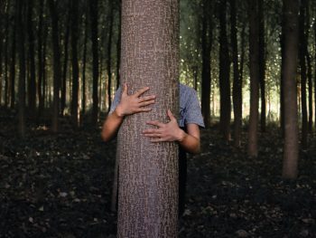 person hiding behind a tree trunk