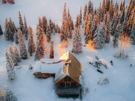 aerial photography of house field and trees covered with snow