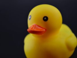 close up photo of a yellow rubber duck