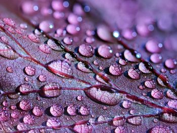 abstract art artistic autumn